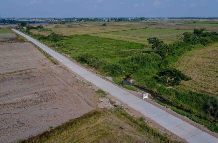 DA accepts Senate challenge to build FMRs to curb corruption