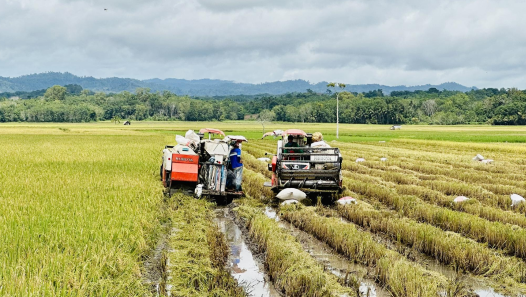 SEC encourages agribusiness firms to tap capital markets