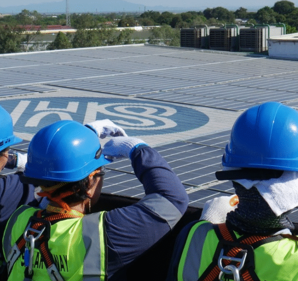 SM Investments wins award for sustainability