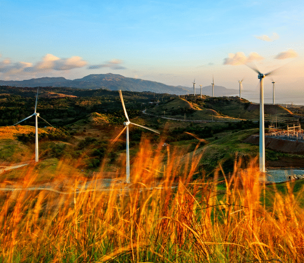 Altenergy creates new firm to retail electricity