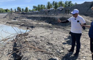 Palace assures Marcos won’t disappoint public in flood control probe