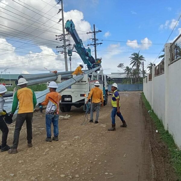 Additional power charges seen attracting more industry players