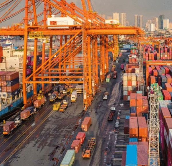 Jan-Nov exports exceed entire 2024 figure