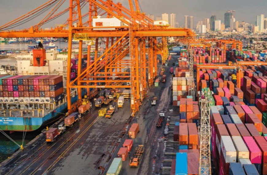 Jan-Nov exports exceed entire 2024 figure