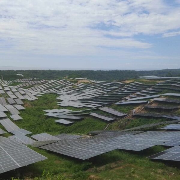 Central bank extends by 2 years single borrower’s limit for green projects